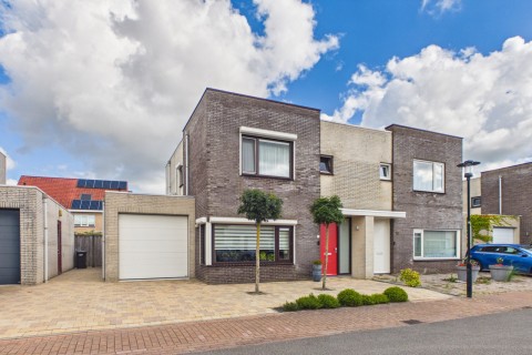 Roerdomp 20