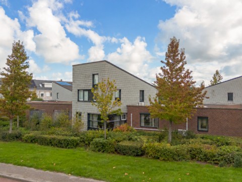 Steenarend 5